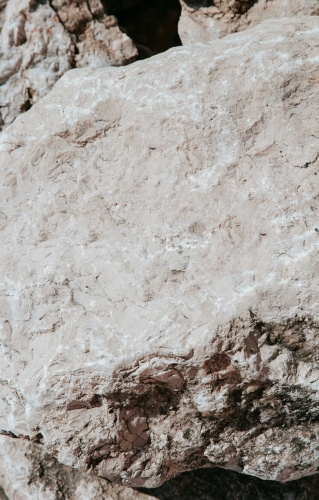 BORGOGNA